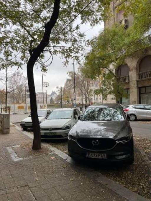 A13 Parliament Sunflower Cozy Apartment Budapest Exteriör bild